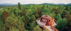 The Wild Center, Wild Walk | Photo Courtesy of The Wild Center