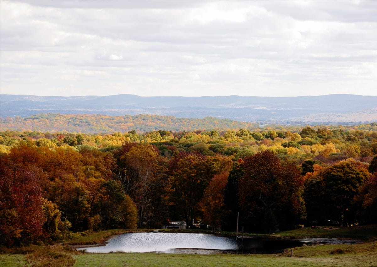 A scenic view of the foliage at Cedar Lakes Estate. | Photo Courtesy of Trevanna