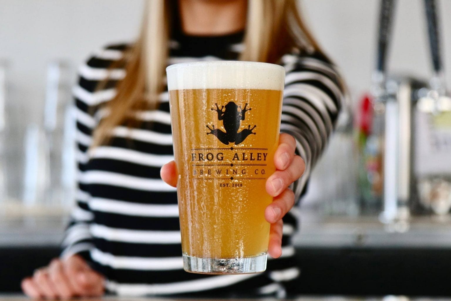 Visit Schenectady's Frog Alley Brewing Company New York by Rail