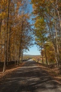 Explore Ulster County's Ashokan Rail Trail