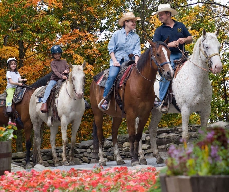 rocking horse ranch