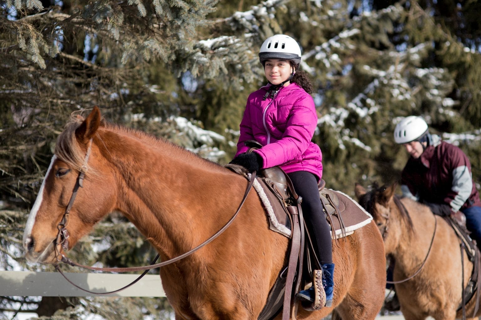 Rocking Horse Ranch Resort New York by Rail