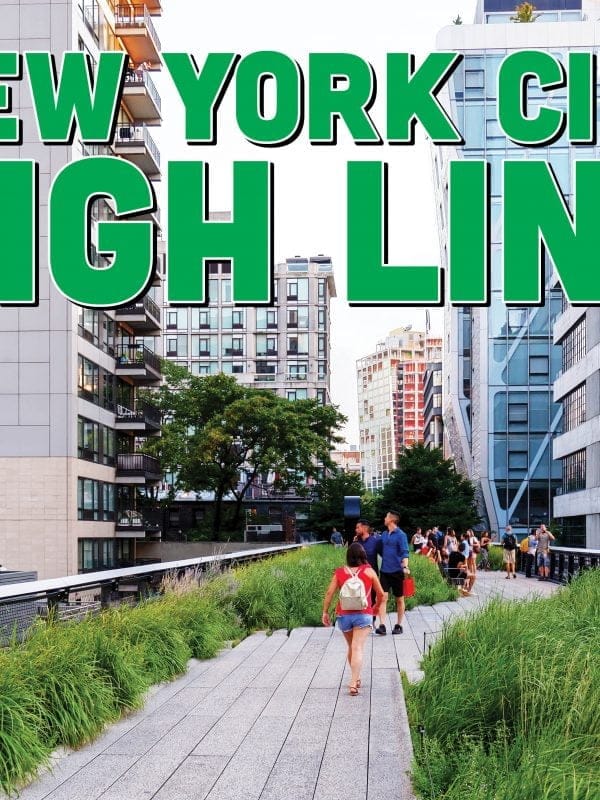 High Line Blog Header