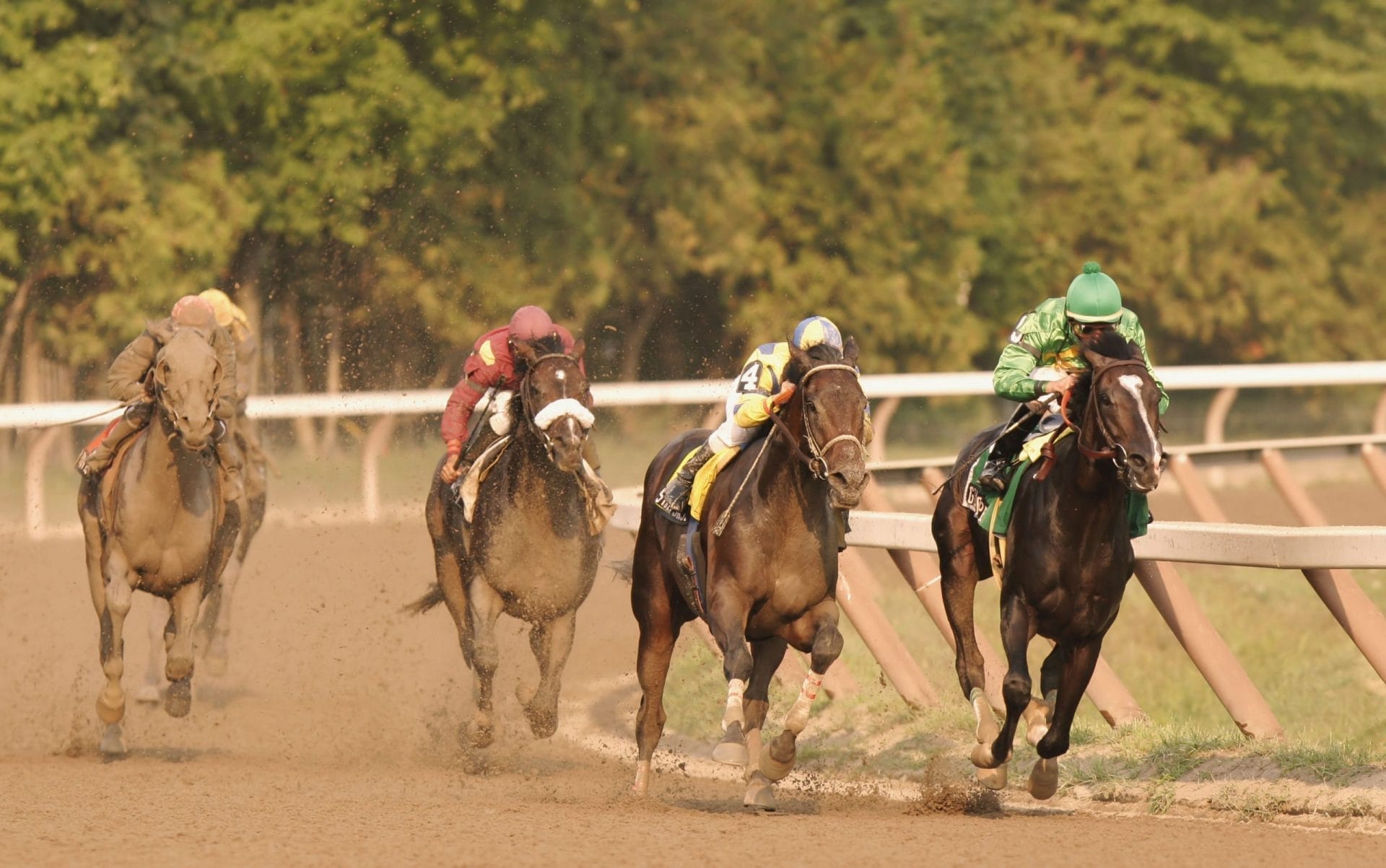 Saratoga Horse Race