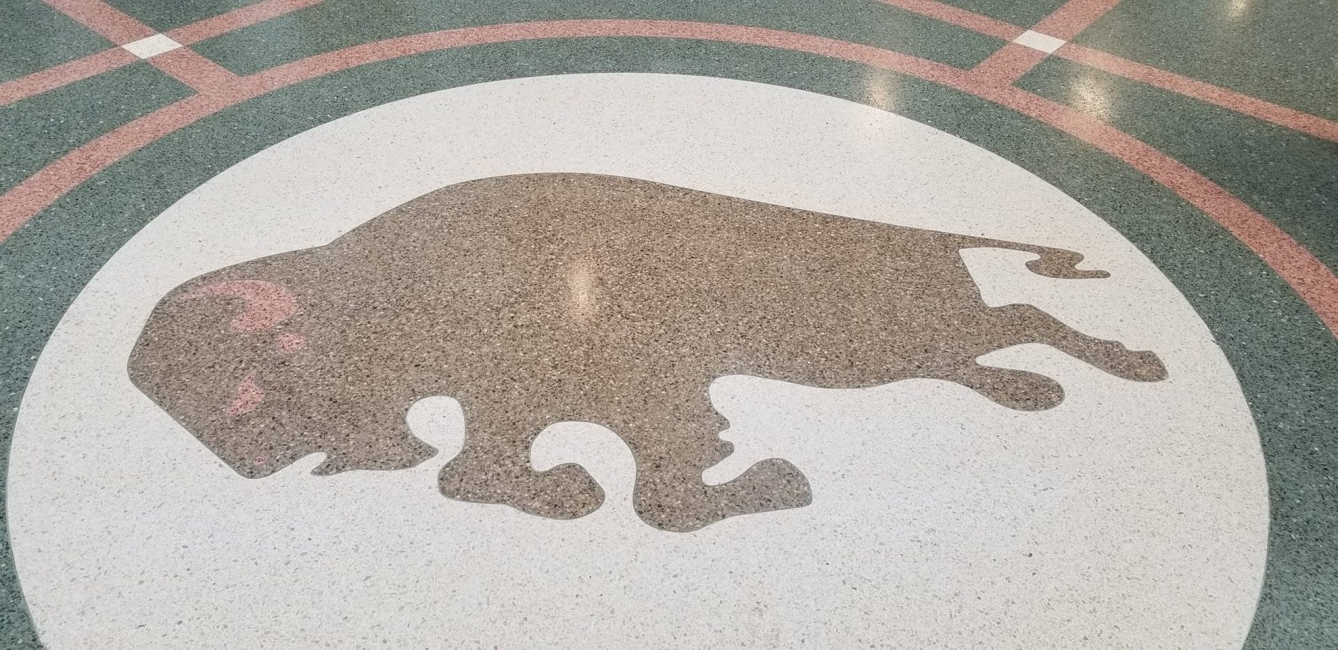 A tiled floor at Buffalo-Exchange Street Station showcases a brown silhouette of a bison in a circle, framed by green and pinkish-red geometric patterns. The bison rests with its head turned to the side, embodying the stations unique artistic charm. A tiled floor at Buffalo-Exchange Street Station showcases a brown silhouette of a bison in a circle, framed by green and pinkish-red geometric patterns. The bison rests with its head turned to the side, embodying the stations unique artistic charm.