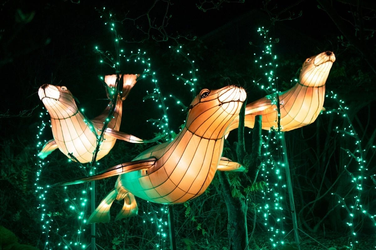 Bronx Zoo Holiday Lights