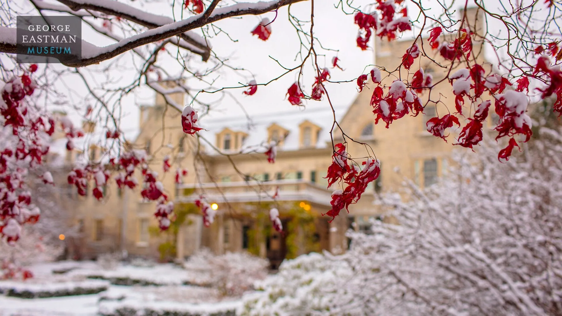 Snow-covered tree branches with red leaves frame a distant view of the George Eastman Museum building, capturing the essence of winter fun in New York State. The landscape is blanketed in snow, creating a serene and picturesque winter scene. Snow-covered tree branches with red leaves frame a distant view of the George Eastman Museum building, capturing the essence of winter fun in New York State. The landscape is blanketed in snow, creating a serene and picturesque winter scene.