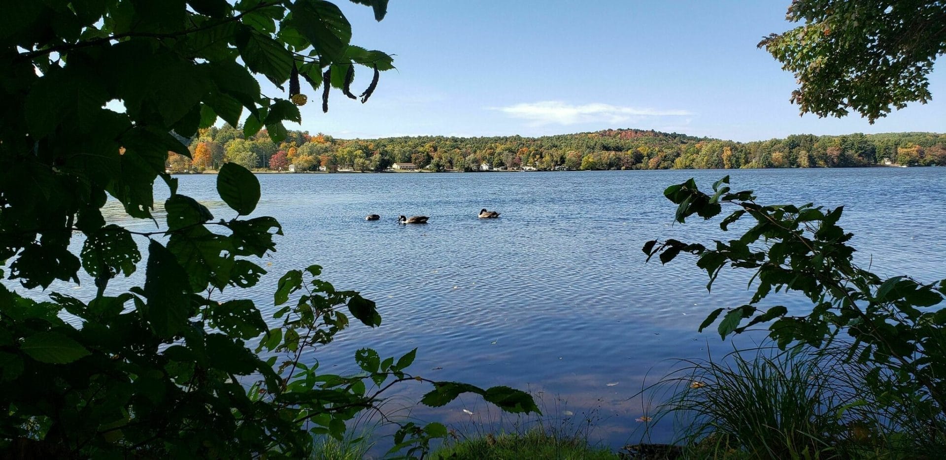 Albany Hudson Electric Trail