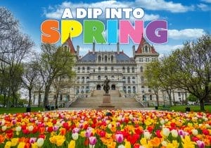 A historic New York building is seen behind a colorful bed of tulips and a central equestrian statue. Trees line the path on both sides under a blue sky. Bold text at the top reads A Dip into Spring in vibrant colors.