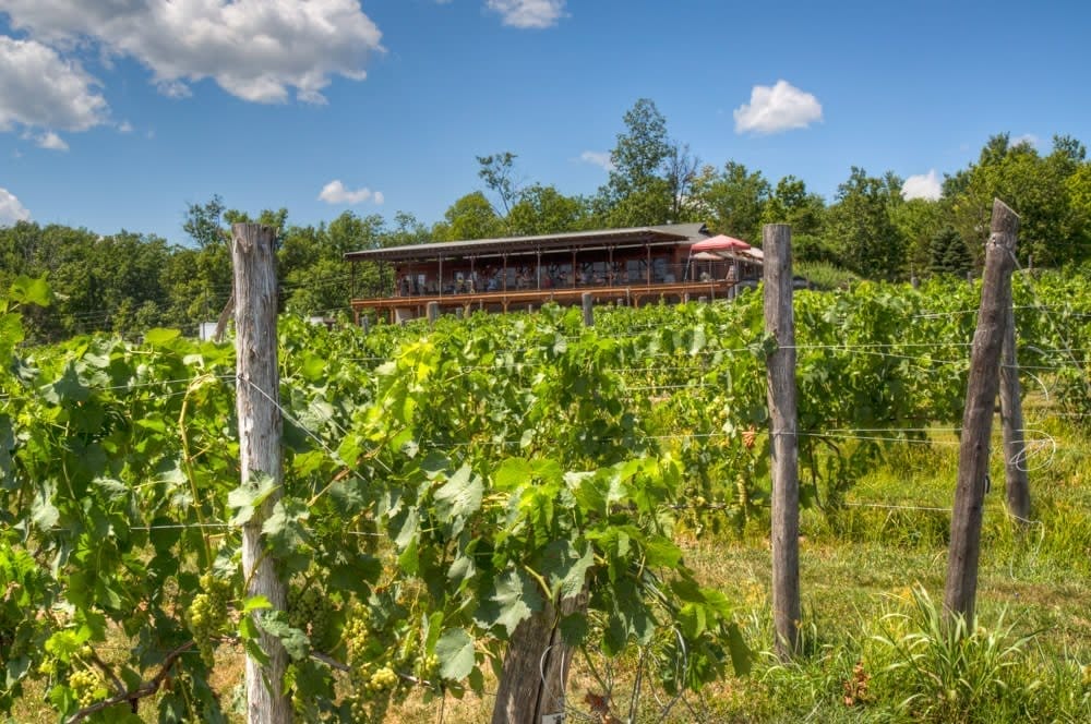 Robibero Family Vineyards