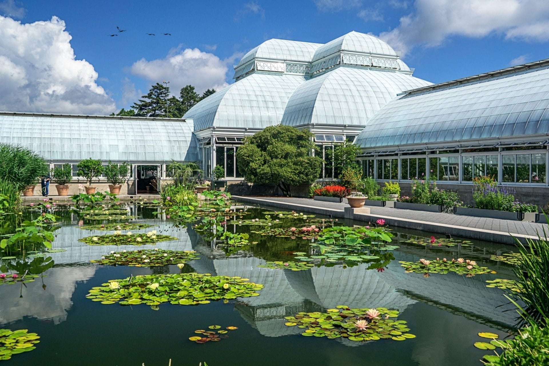 NY Botanical Garden