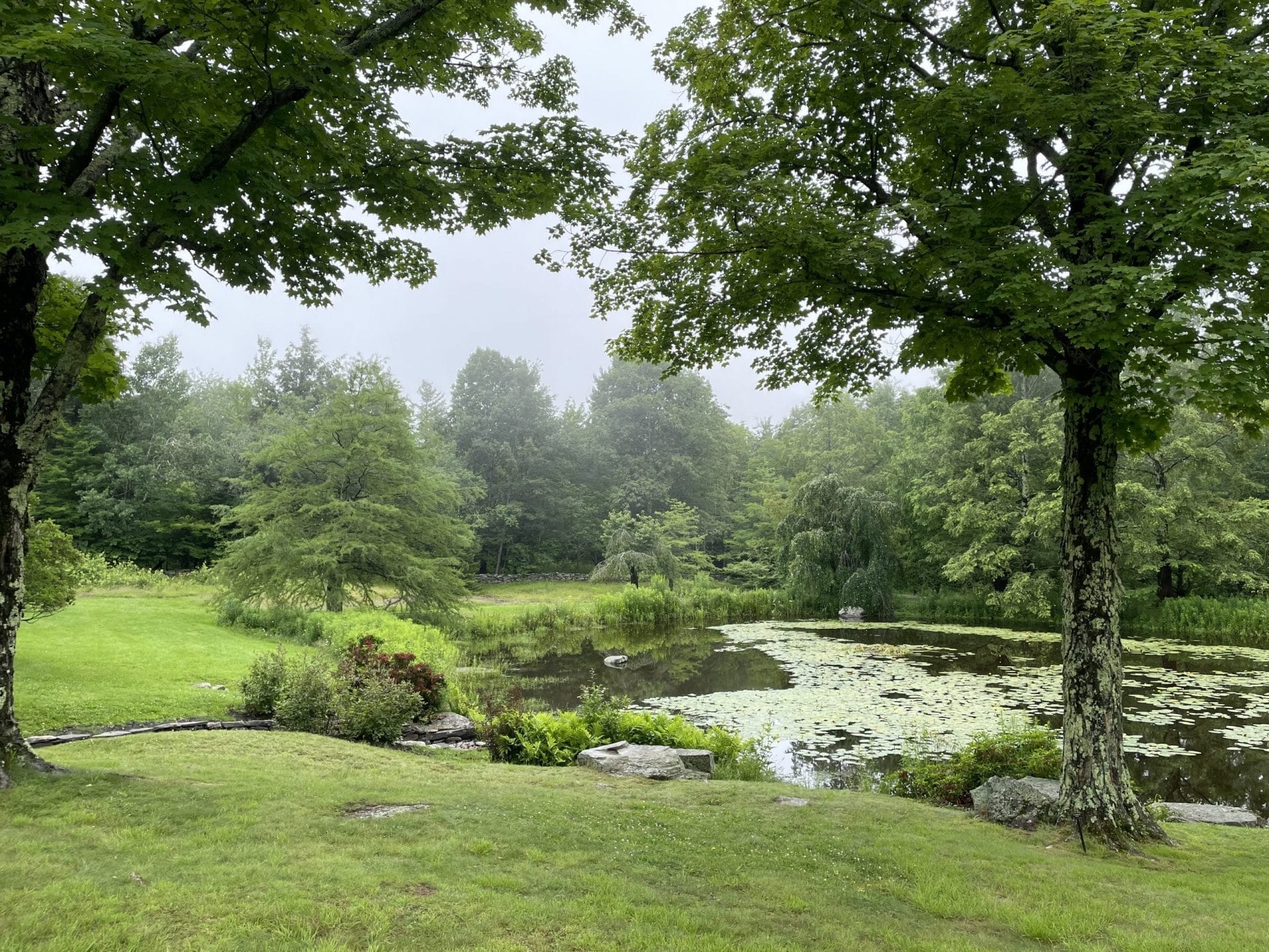 Mountain Top Arboretum