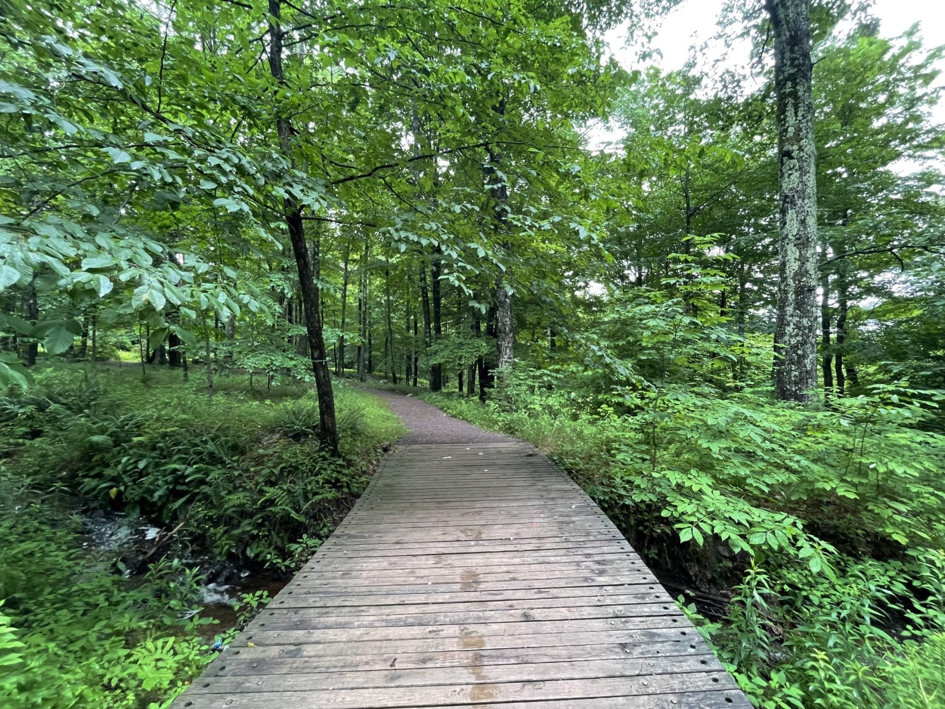 Mountain Top Arboretum