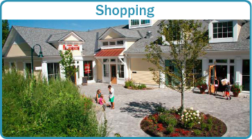 Shopping