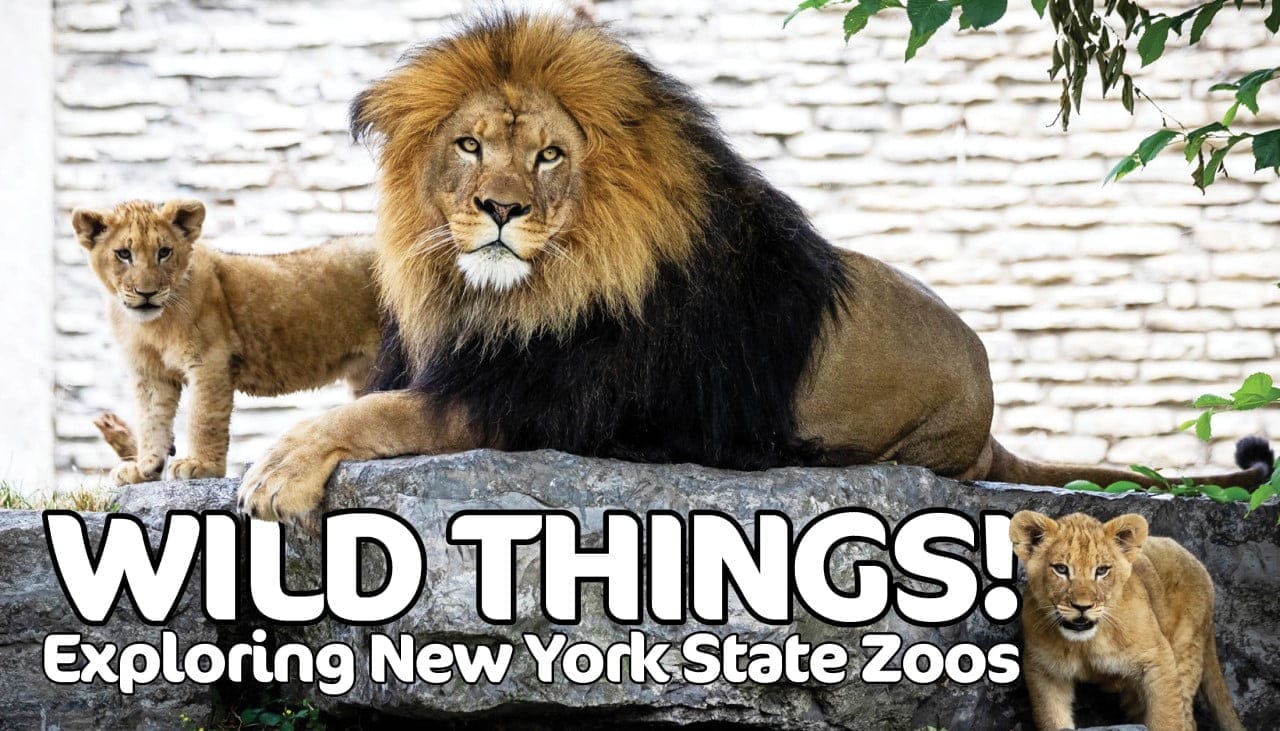 Wild Things!: Exploring New York State Zoos | New York by Rail