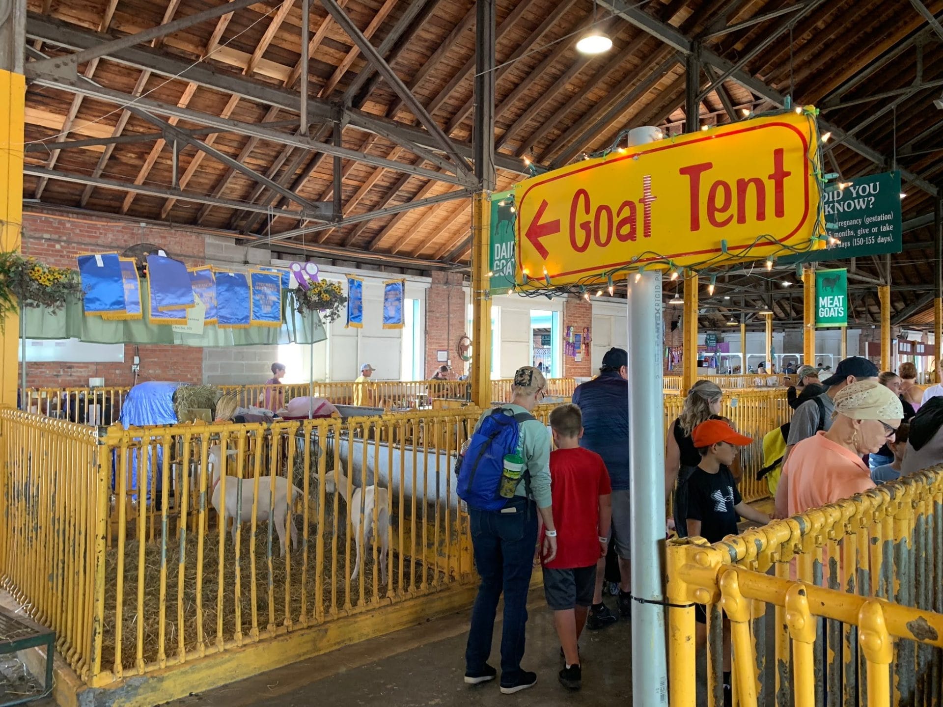 Goat Tent at NY State Fair Goat Tent at NY State Fair