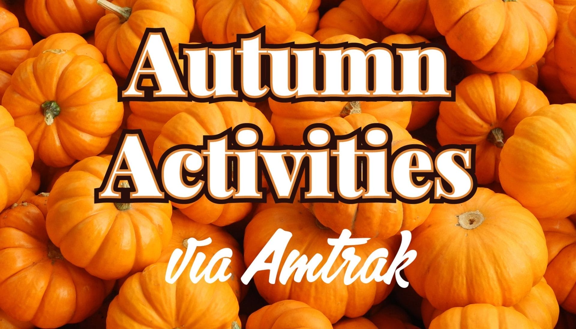 Autumn Activities Blog Header