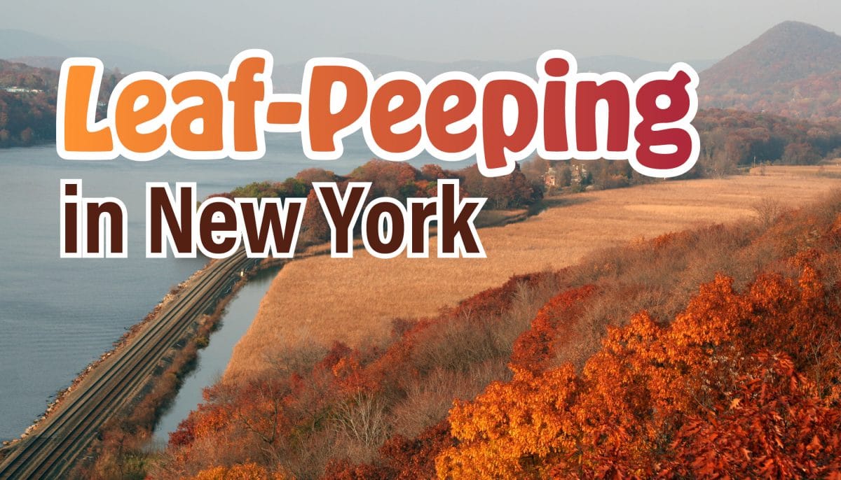 Fall Foliage Leaf Peeping in NY New York by Rail