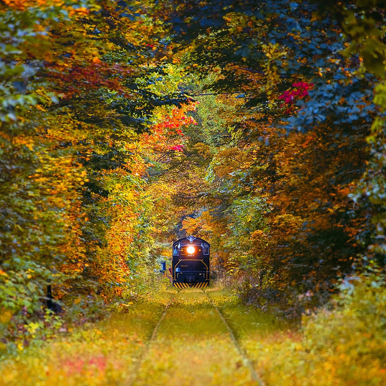 Catskill Mountain Railroad