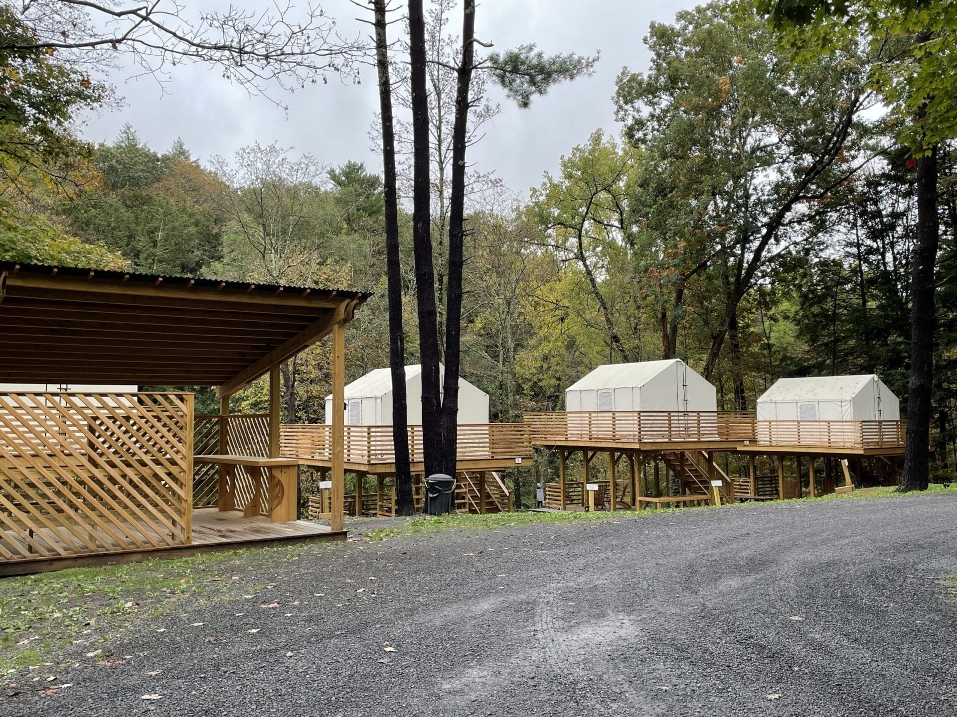 Treetopia Campground Tents