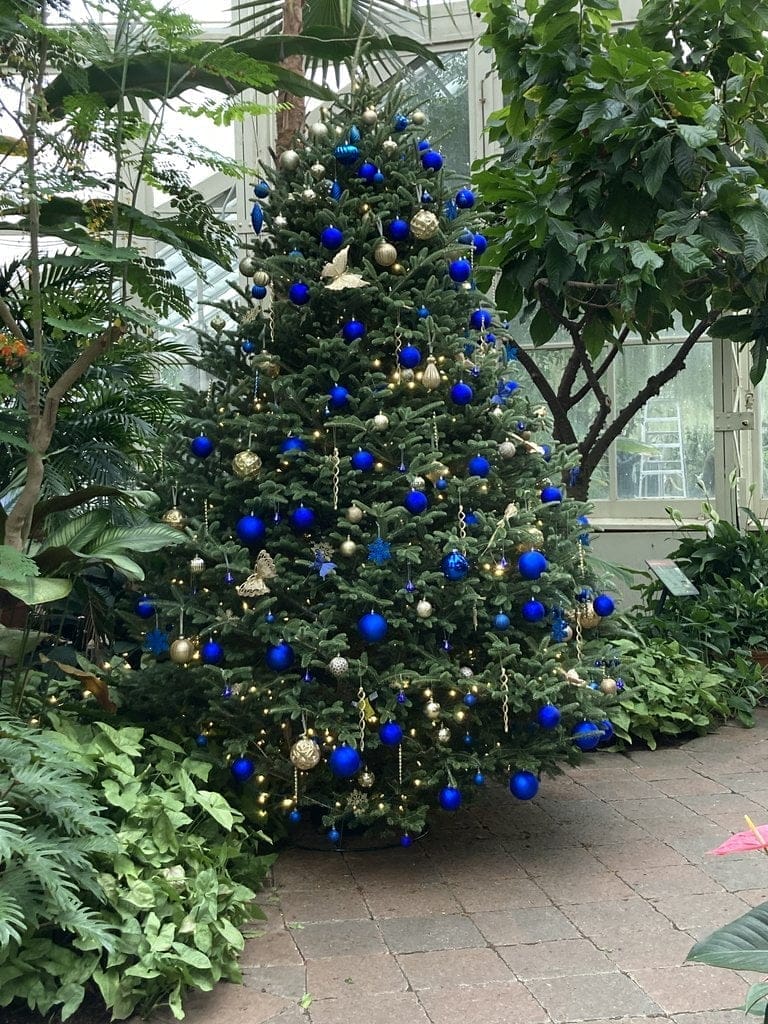 Winter Wonderland at Buffalo and Erie County Botanical Gardens