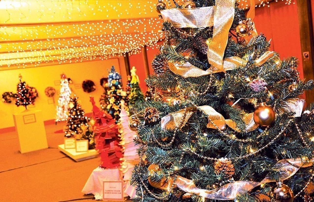 A festive display of decorated Christmas trees with golden ribbons, ornaments, and twinkling holiday lights creates a cozy ambiance. The warmly illuminated room showcases several trees in the background, each uniquely adorned.