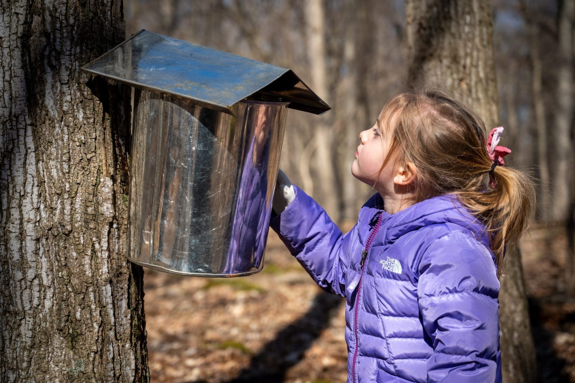 Maple Sugar Festival and Pancake Breakfast