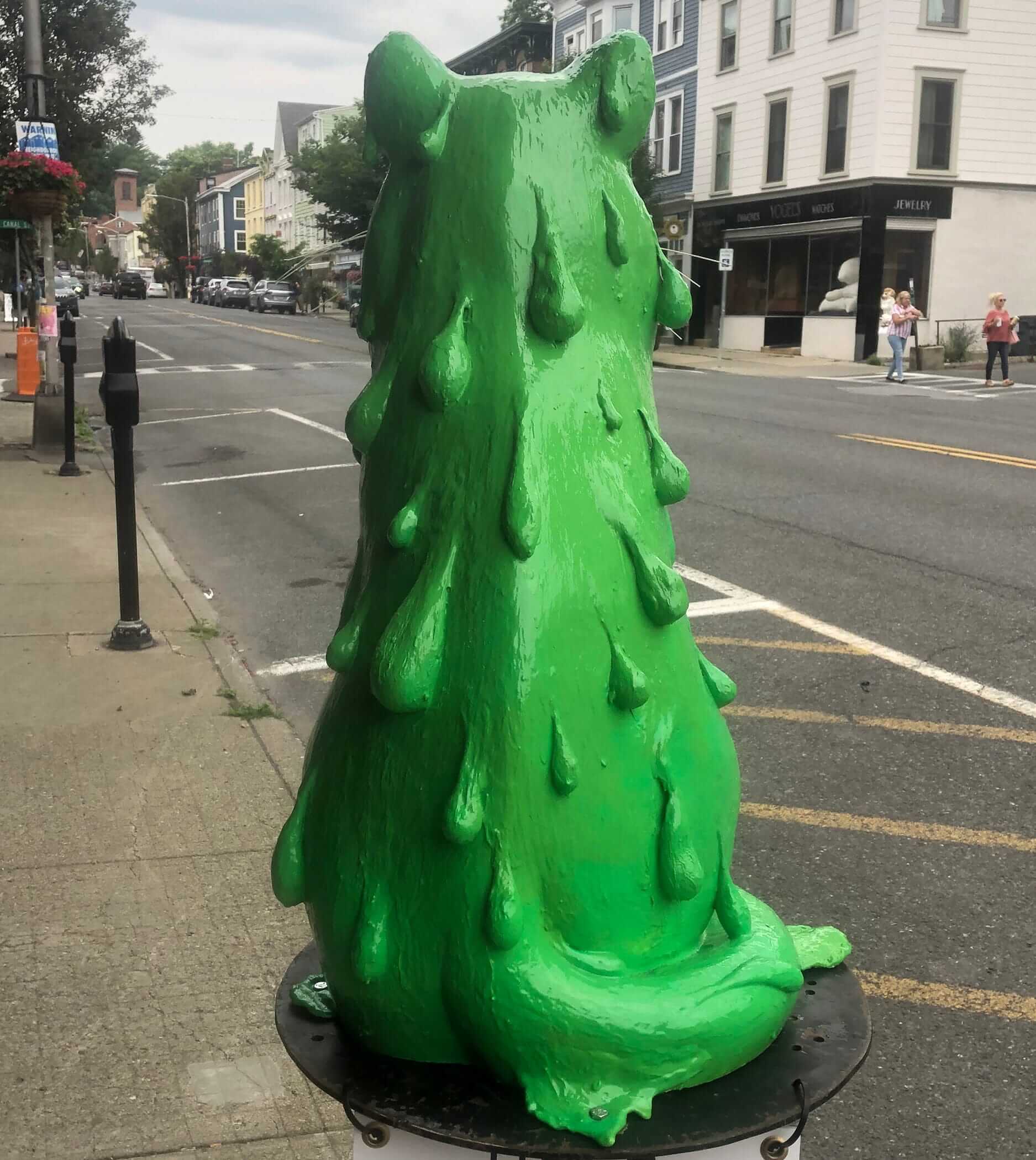 catskill-new-york-slime cat