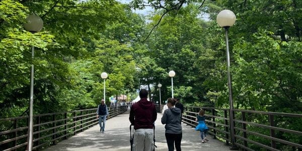 People walk along a tree-lined park pathway with street lamps, surrounded by lush greenery. Some are pushing strollers, while others stroll leisurely on the weekend. The scene is calm and inviting, depicting a typical urban park setting.