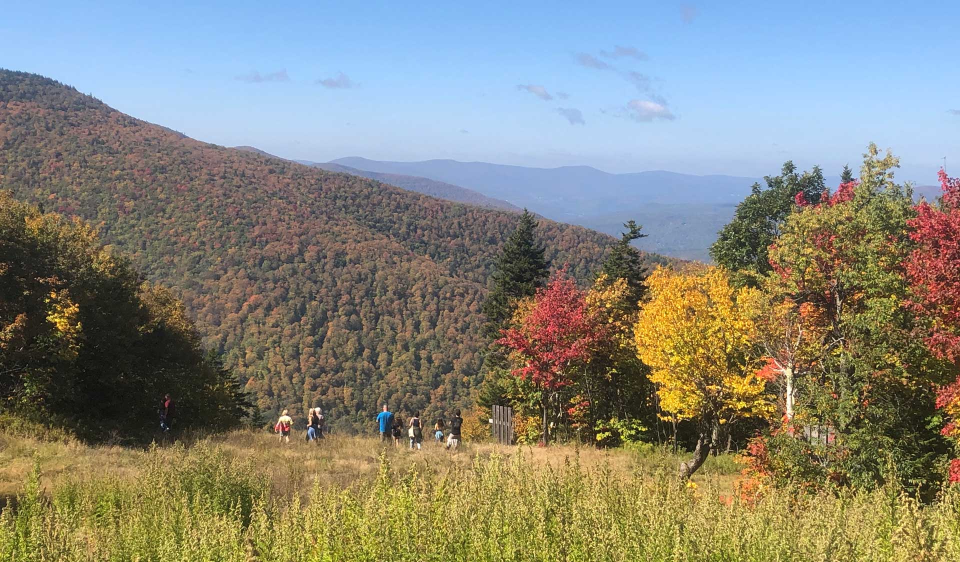 greene county ny