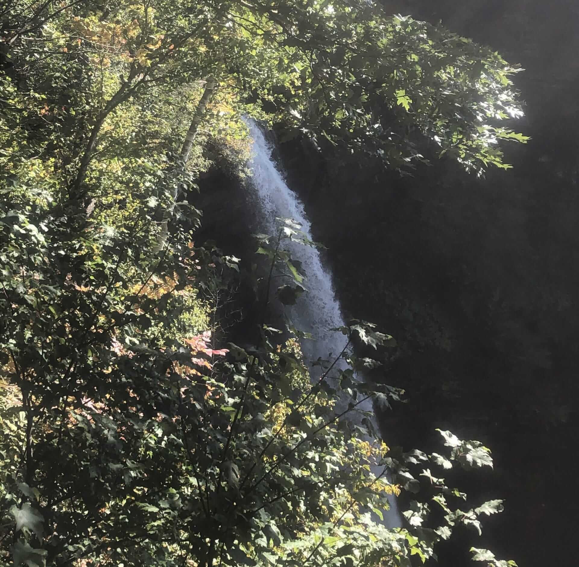 Kaaterskills Falls | Largest cascading waterfall in New York