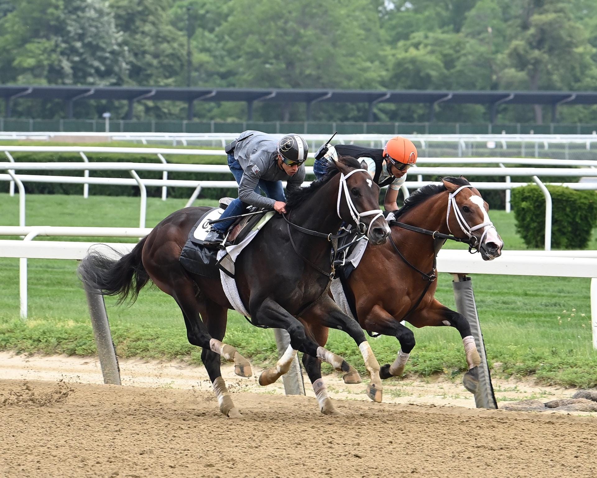 belmont stakes racing