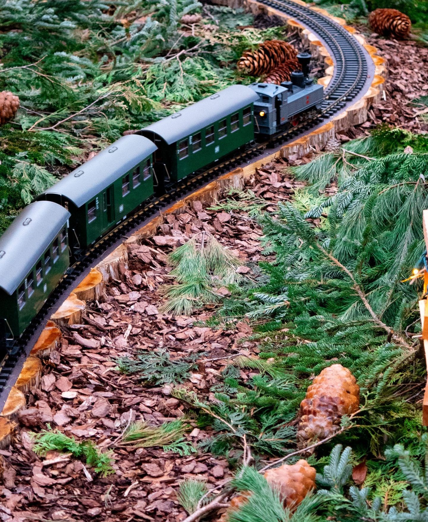 A miniature green train travels along a curved track surrounded by pine branches, pinecones, and bark chips, capturing the festive spirit of the New York Botanical Garden's Holiday Train Show beneath twinkling string lights and a wooden fence backdrop. A miniature green train travels along a curved track surrounded by pine branches, pinecones, and bark chips, capturing the festive spirit of the New York Botanical Garden's Holiday Train Show beneath twinkling string lights and a wooden fence backdrop.