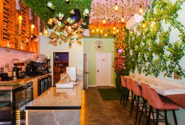 A cozy diner café interior with pink chairs at a counter, hanging greenery and flowers from the ceiling, a wall decorated with plants, and soft, warm lighting above a light green and peach-toned space. Sheza Coffee House in Yonkers