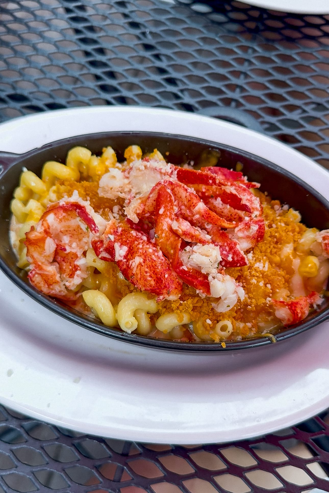 A bowl of macaroni and cheese topped with chunks of lobster and breadcrumbs, served on a white plate on a metal outdoor table overlooking scenic Lake George.