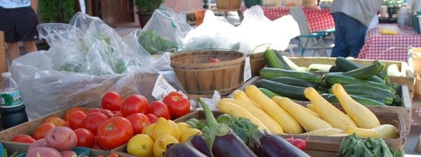 At the Ticonderoga StreetFest, a farmers market stall displays baskets of fresh vegetables—tomatoes, yellow squash, zucchini, eggplants, and potatoes—on tables covered in red-and-white checkered cloths.