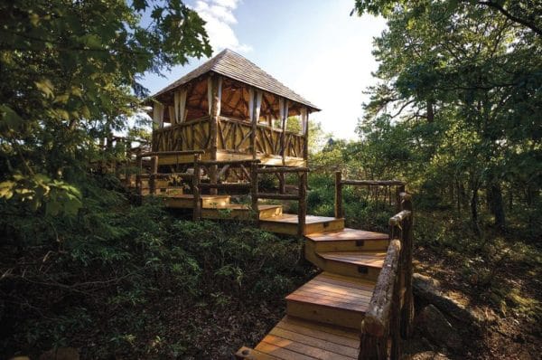 A rustic wooden treehouse with a sloped roof sits among green trees, elevated on stilts. Perfect for relaxation, it features wooden steps and a railing, nestled in lush forest and dappled sunlight—a tranquil escape from it all.