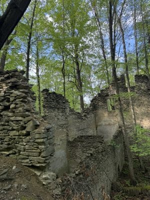 Ruins of an old stone building surrounded by tall green trees, easily reached without a car. The walls are partially crumbled, with an empty window frame visible. Sunlight filters through the leaves, creating a peaceful woodland scene.