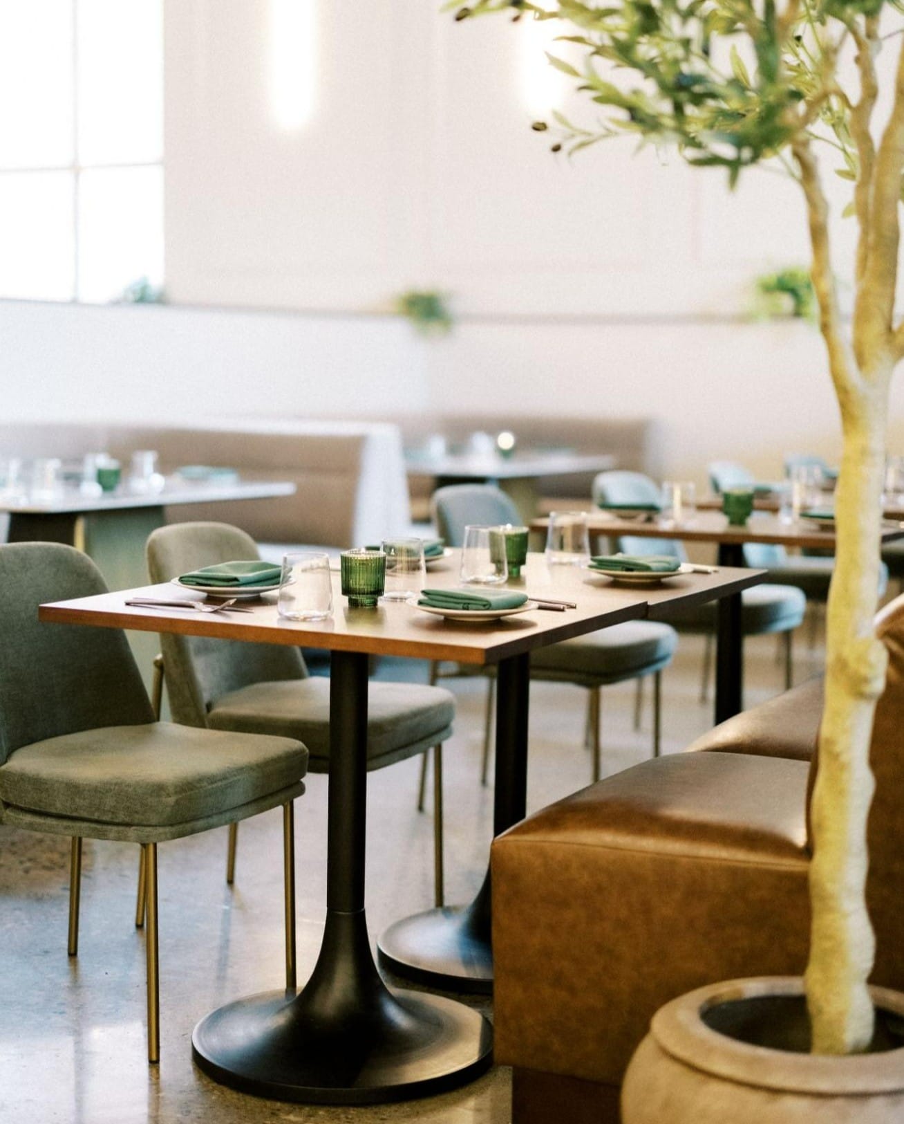 A modern restaurant interior at Milas Restaurant & Bar with neatly set tables, green chairs, and brown leather seating. Plates, glasses, and cutlery are arranged on wooden tables, with a large potted plant in the foreground.