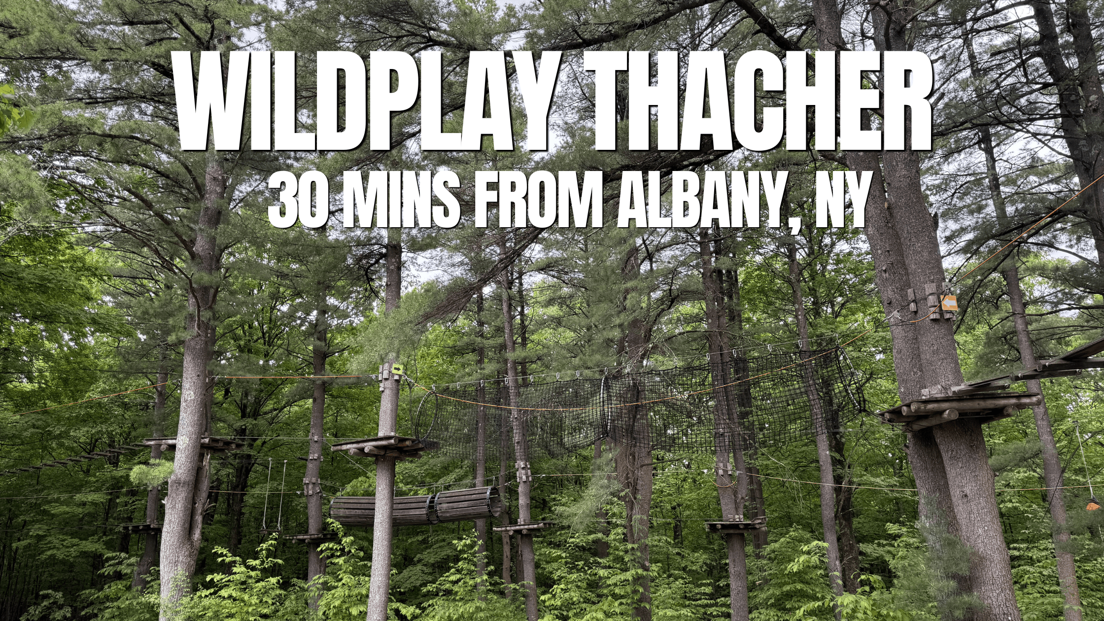 Experience adventure at WildPlay Thacher—a ropes course with platforms, bridges, and nets set high among tall trees. Just 30 minutes from Albany, NY!.