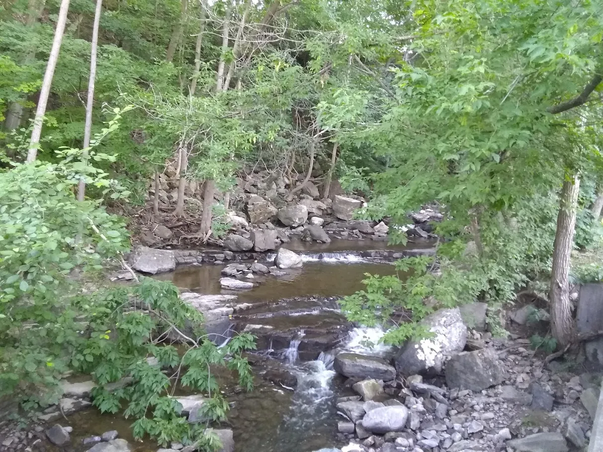 A small, rocky stream flows through a green forest along the Champlain Area Trails, with trees, shrubs, and large rocks bordering the banks. Water cascades gently over stones amid dense foliage.
