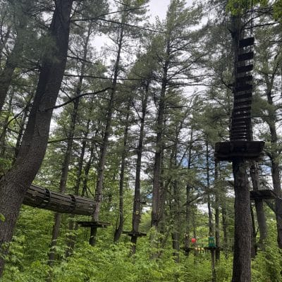 At Wildplay Thacher, a forest adventure park with tall trees, elevated wooden platforms, rope bridges, and two people wearing safety harnesses navigate the course among lush green foliage.