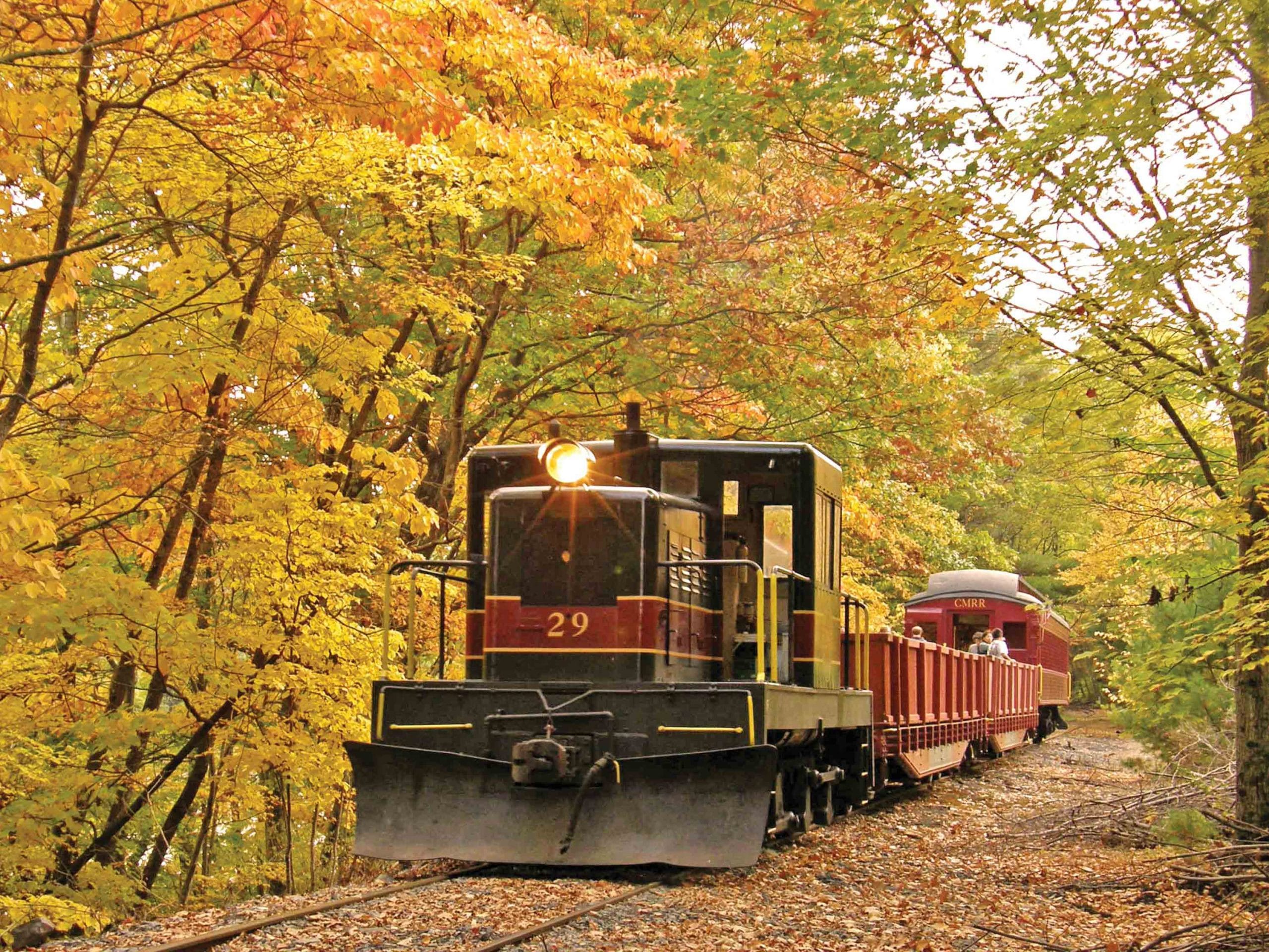 A vintage train with the number 29 travels through a forest with vibrant yellow and orange autumn foliage, carrying open and covered passenger cars along a leaf-strewn track—the iconic Catskill Mountain Railroad Pumpkin Express.