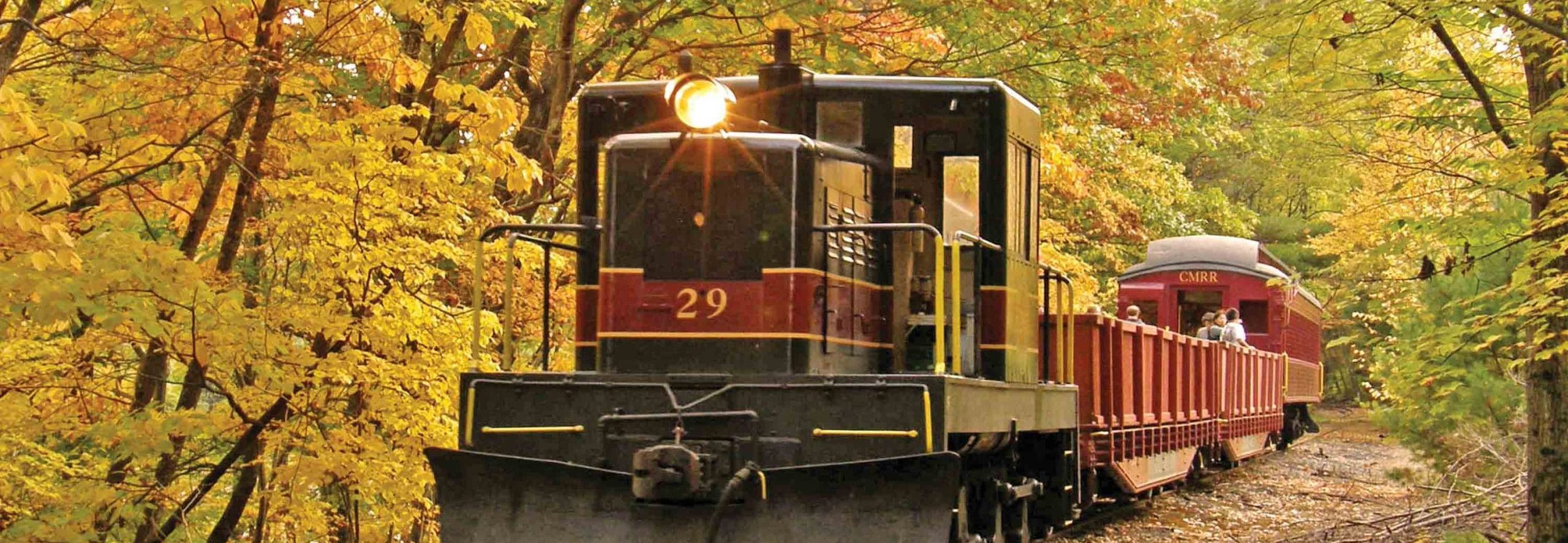 A yellow and black train labeled 29, part of the Catskill Mountain Railroad Pumpkin Express, travels through a forest of vibrant autumn leaves, with open passenger cars where people enjoy the scenic ride beneath a bright, golden canopy.