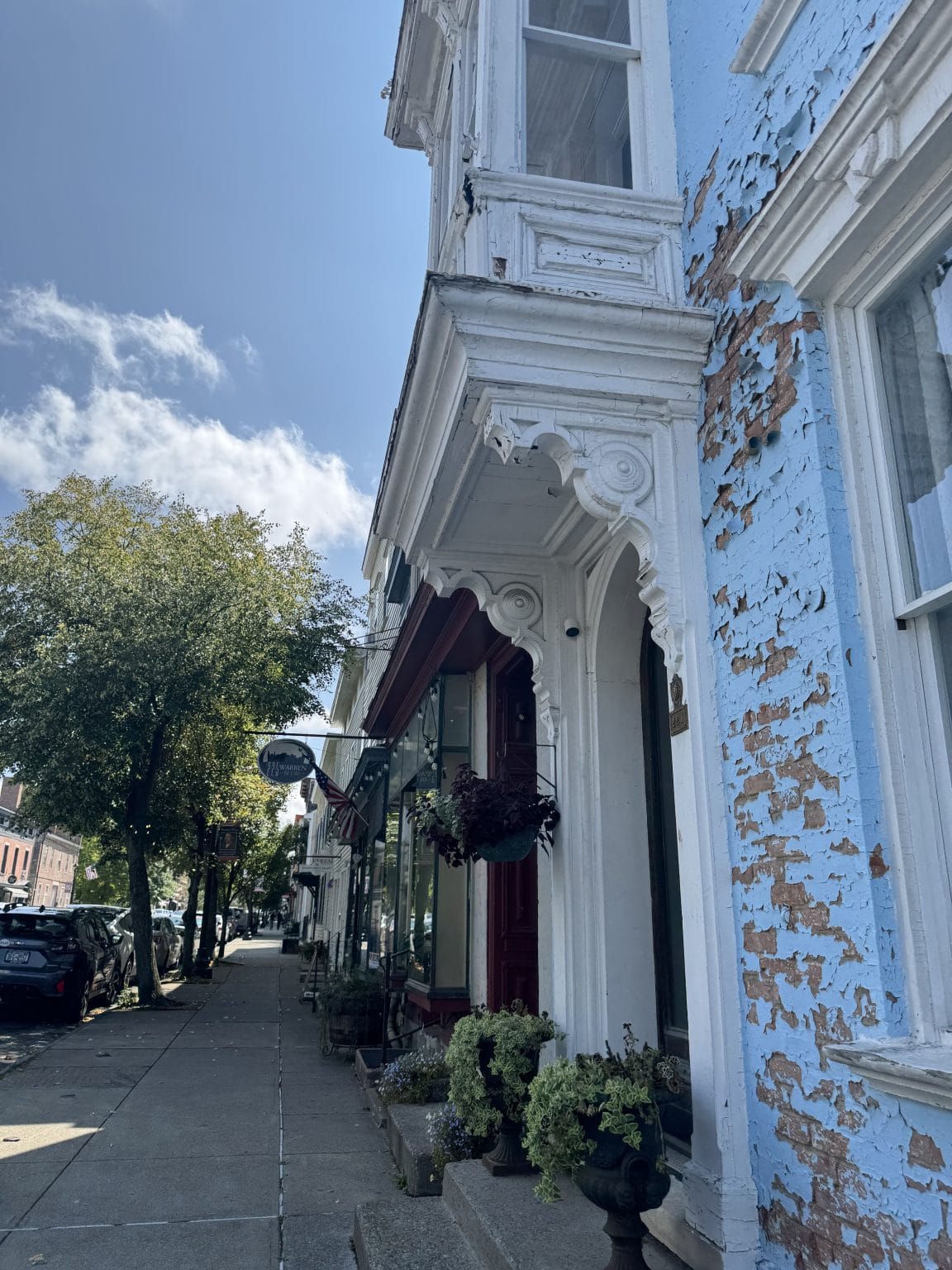 A sidewalk lined with potted plants runs past old storefronts, including a blue building with peeling paint and ornate white trim, under a partly cloudy sky. Trees line the street and parked cars are visible in the distance.