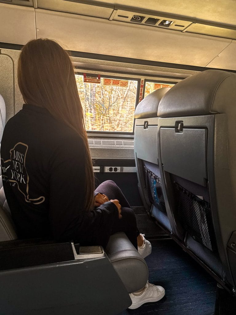 A woman with long hair, wearing a Miss New York Lake George shirt, sits alone on a train, gazing out the window at the trees and sunlight outside.