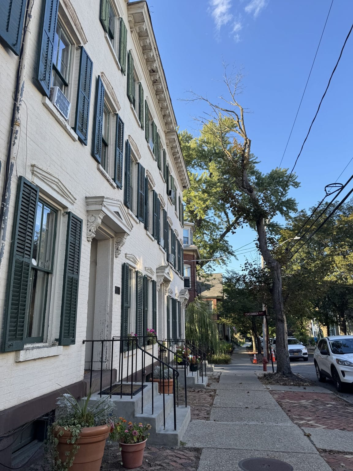 A row of historic white brick townhouses with green shutters lines a sunny sidewalk. Potted plants sit by the steps, and trees, cars, and a clear blue sky are in the background.