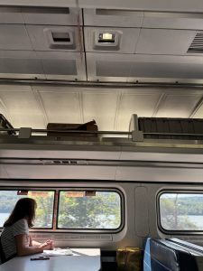 A person sits alone at a table on an Amtrak train, writing or drawing on paper. Outside the window, blurred green scenery passes by—echoes of a mother-daughter train trip unfolding within the quiet car. Overhead, luggage rests on a rack as sunlight fills the space, adding warmth to the contemplative journey.
