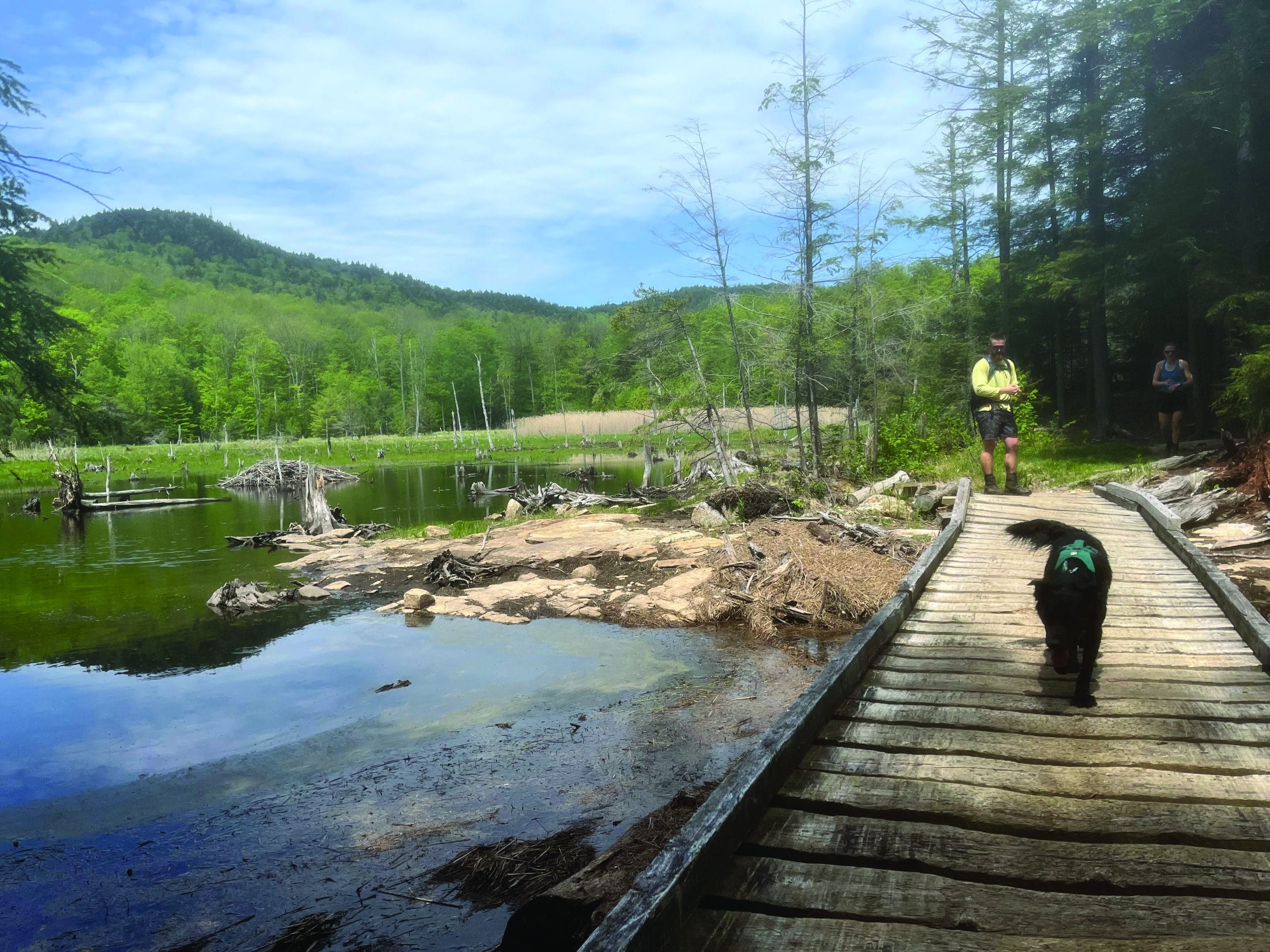 A black dog walks on a wooden boardwalk over a pond, followed by two hikers. Lush green trees and hills surround the water under a blue sky—an Out of Doors scene capturing True Great Adventures in nature.