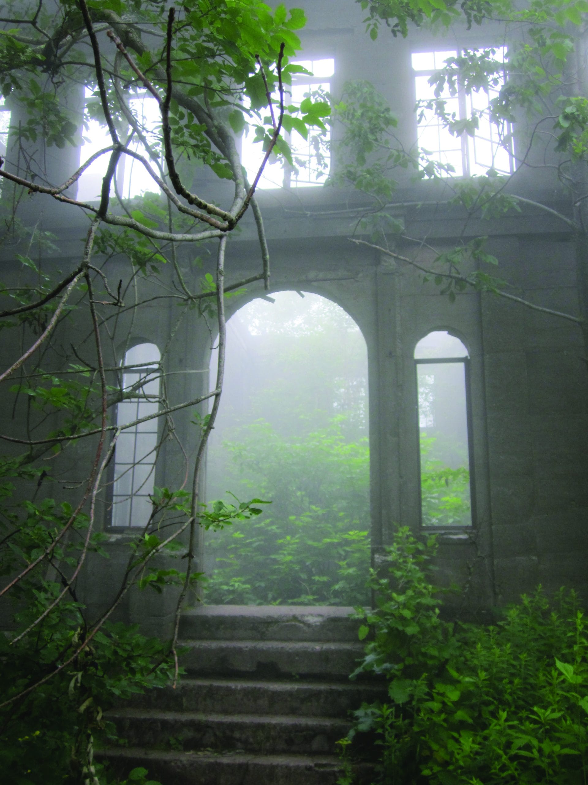 A misty, overgrown ruin with tall arched windows and stone steps stands out of doors, surrounded by lush green foliage and branches, creating an eerie, abandoned atmosphere perfect for true great adventures.
